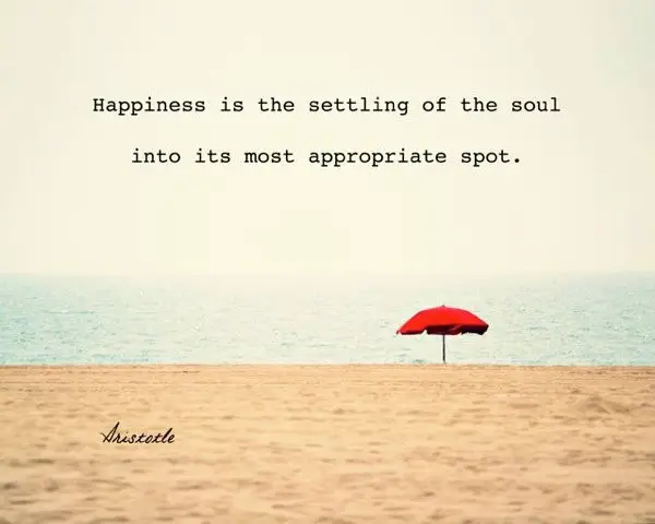 Happiness is the settling of the soul into its most appropiate spot - Aristotle